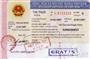 越南簽證圖片